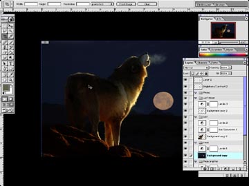 WOLF